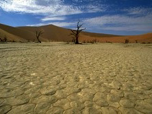 Sdliches Afrika, Namibia: Im Sossusvlei